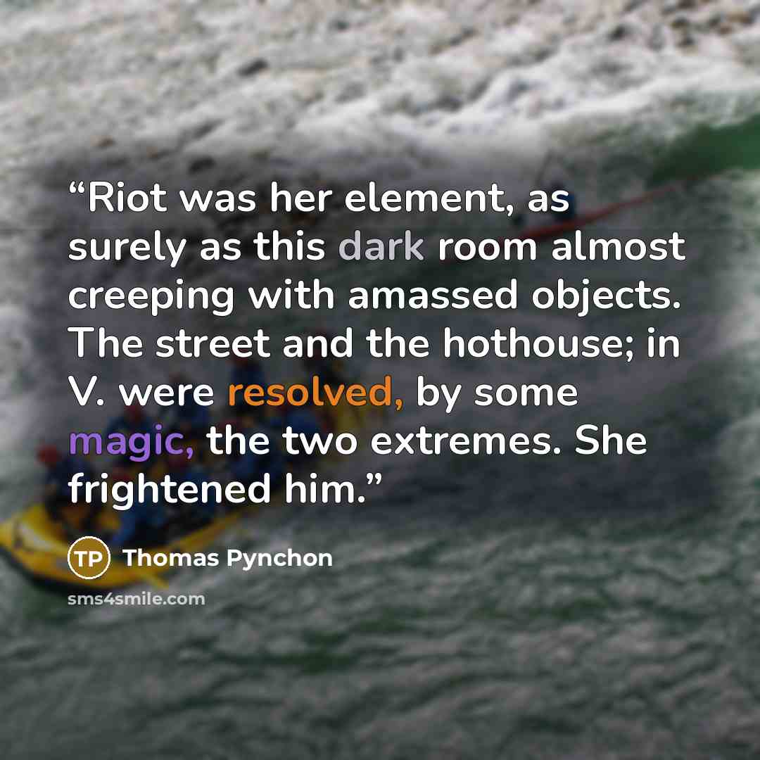 “Riot was her element, as surely as this dark room almost creeping with amassed objects. The street and the hothouse; in V. were resolved, by some magic, the two extremes. She frightened him.” quote by Thomas Pynchon