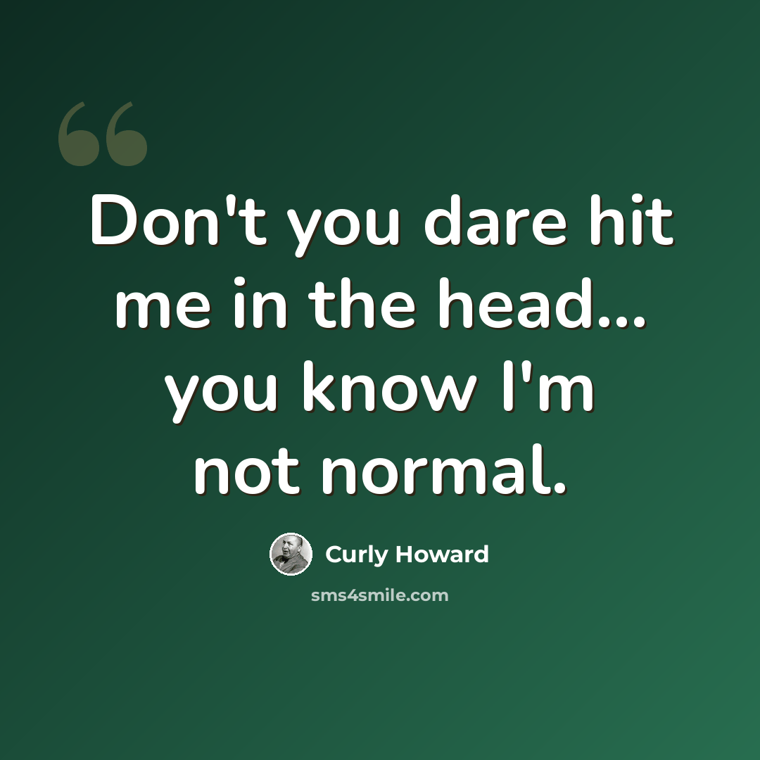 “Don't you dare hit me in the head... you know I'm not normal.” quote by Curly Howard