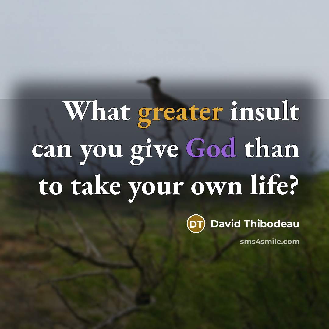 “What greater insult can you give God than to take your own life?” quote by David Thibodeau
