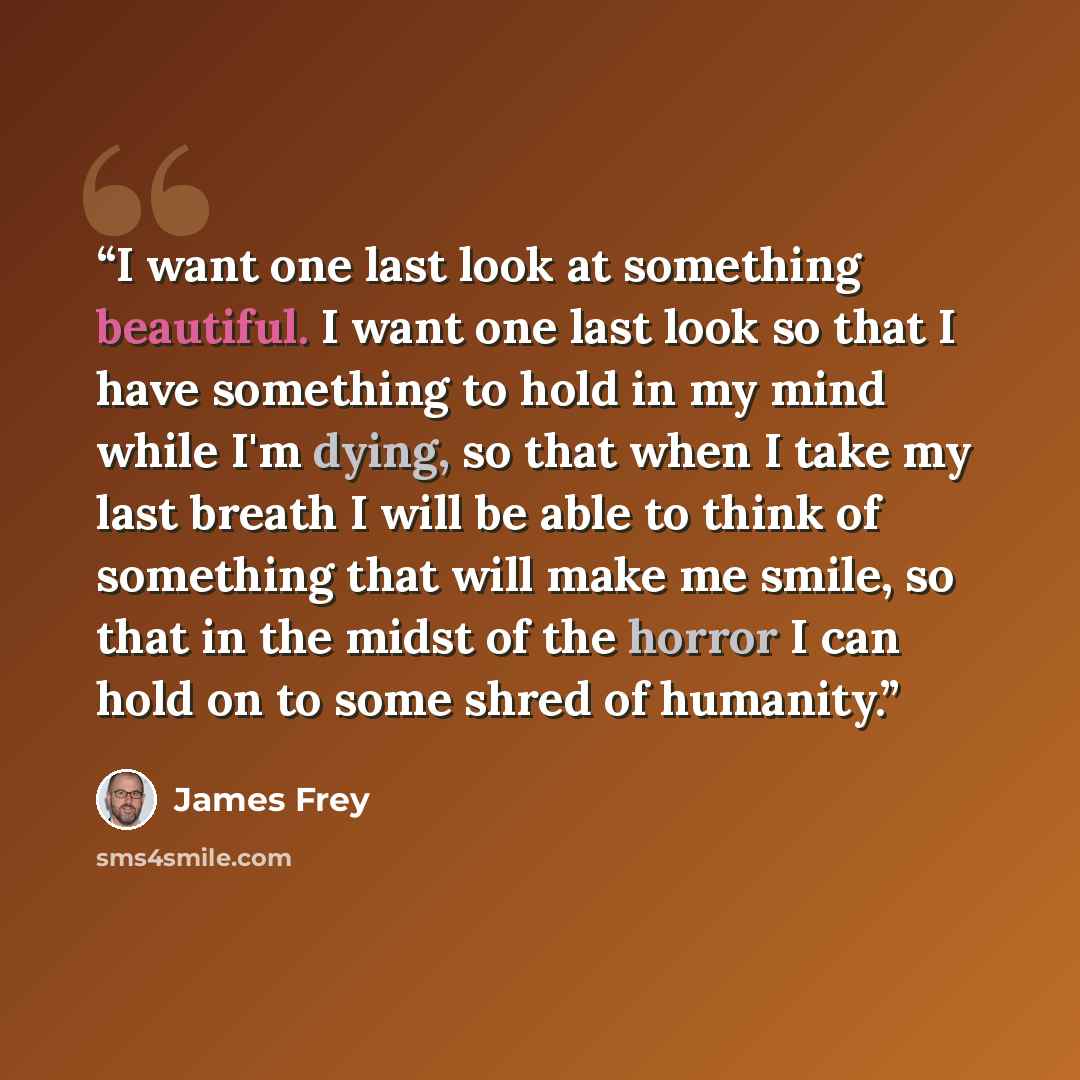 “I want one last look at something beautiful. I want one last look so that I have something to hold in my mind while I'm dying, so that when I take my last breath I will be able to think of something that will make me smile, so that in the midst of the horror I can hold on to some shred of humanity.” quote by James Frey