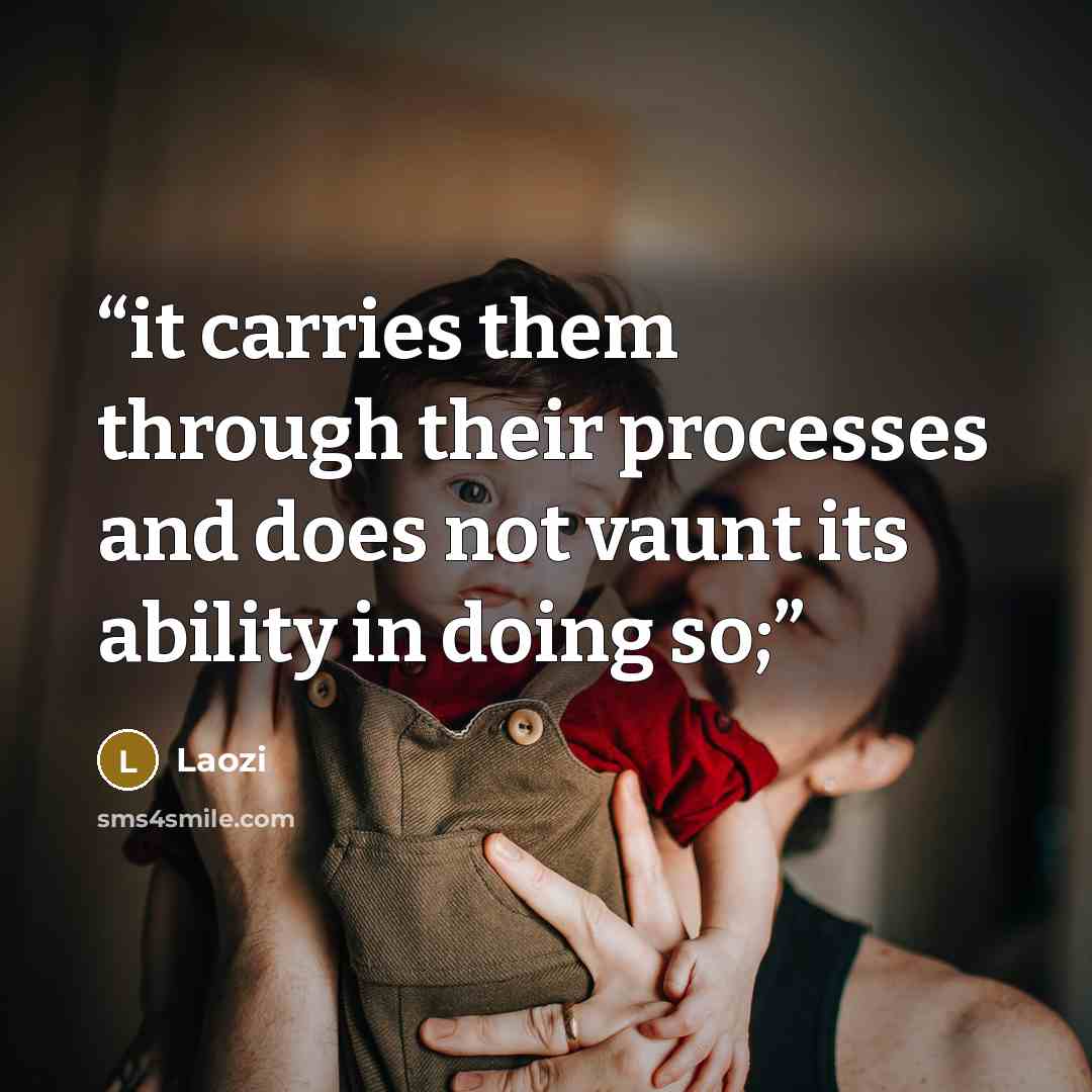 “it carries them through their processes and does not vaunt its ability in doing so;” quote by Laozi