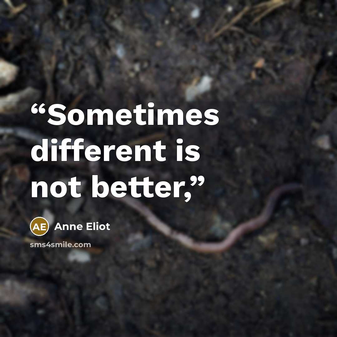“Sometimes different is not better,” quote by Anne Eliot