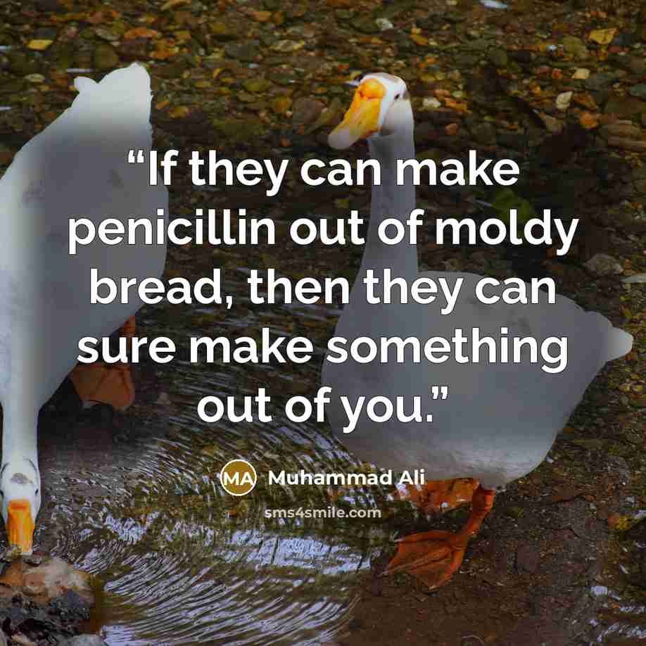 “If they can make penicillin out of moldy bread, then they can sure make something out of you.” quote by Muhammad Ali