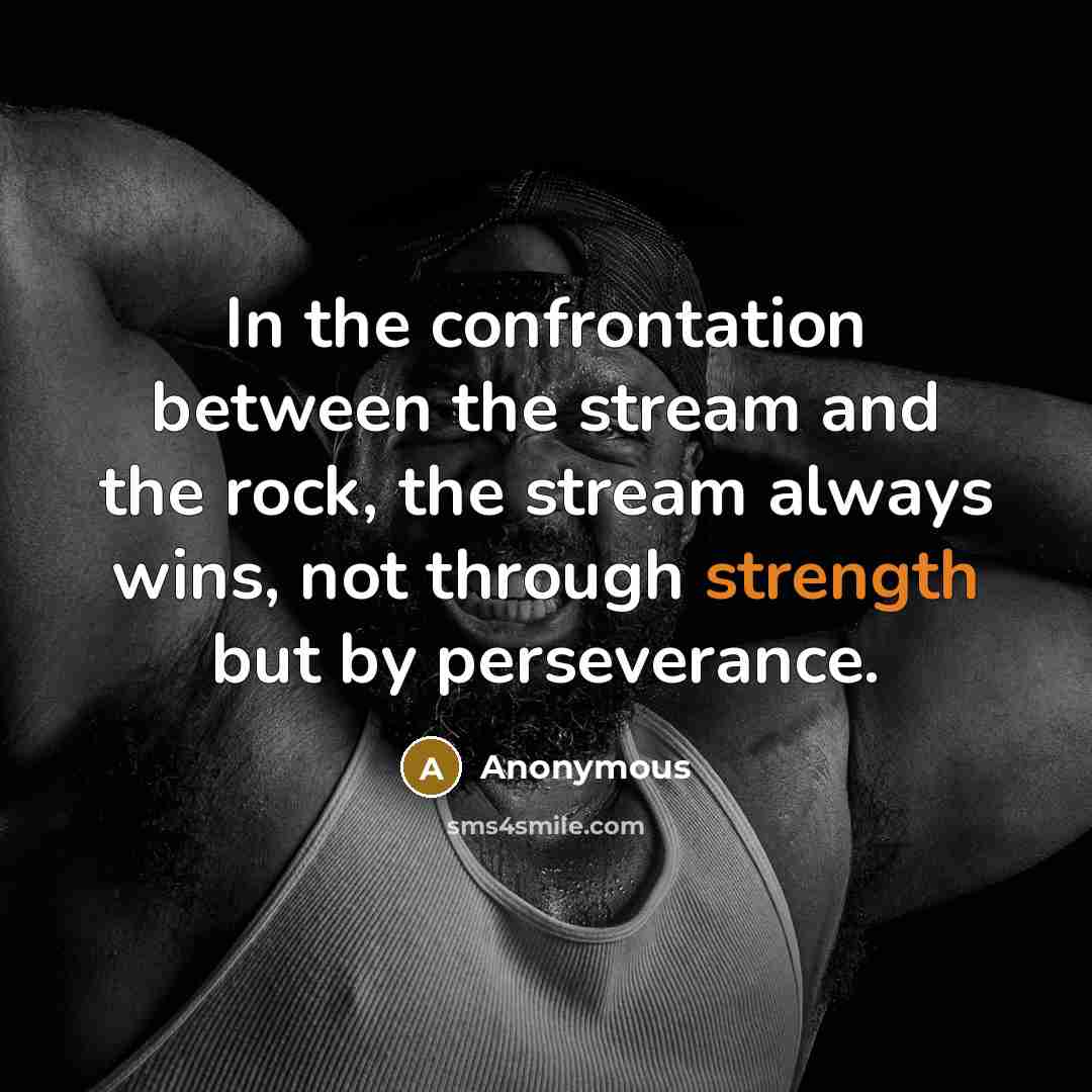 “In the confrontation between the stream and the rock, the stream always wins, not through strength but by perseverance.” quote by Anonymous