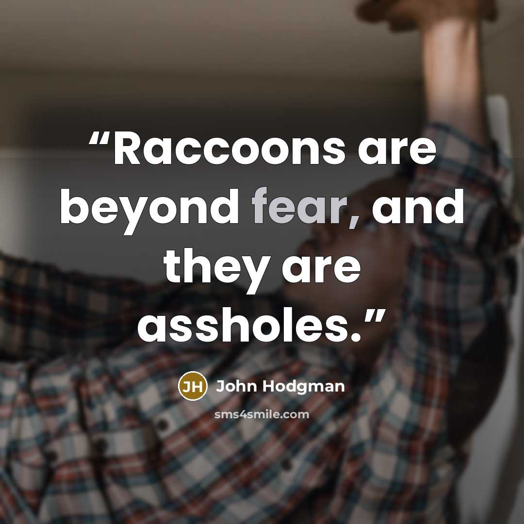 “Raccoons are beyond fear, and they are assholes.” quote by John Hodgman
