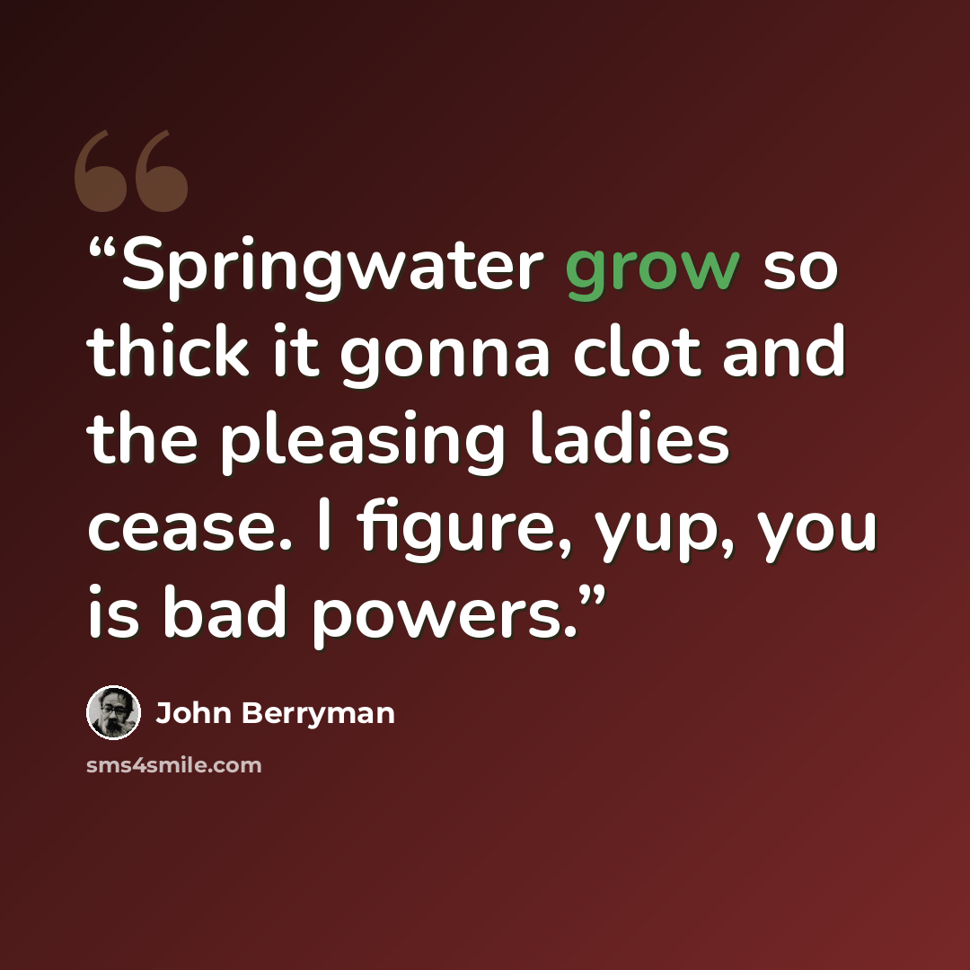“Springwater grow so thick it gonna clot and the pleasing ladies cease. I figure, yup, you is bad powers.” quote by John Berryman