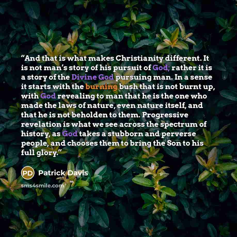 “And that is what makes Christianity different. It is not man’s story of his pursuit of God; rather it is a story of the Divine God pursuing man. In a sense it starts with the burning bush that is not burnt up, with God revealing to man that he is the one who made the laws of nature, even nature…” quote by Patrick Davis