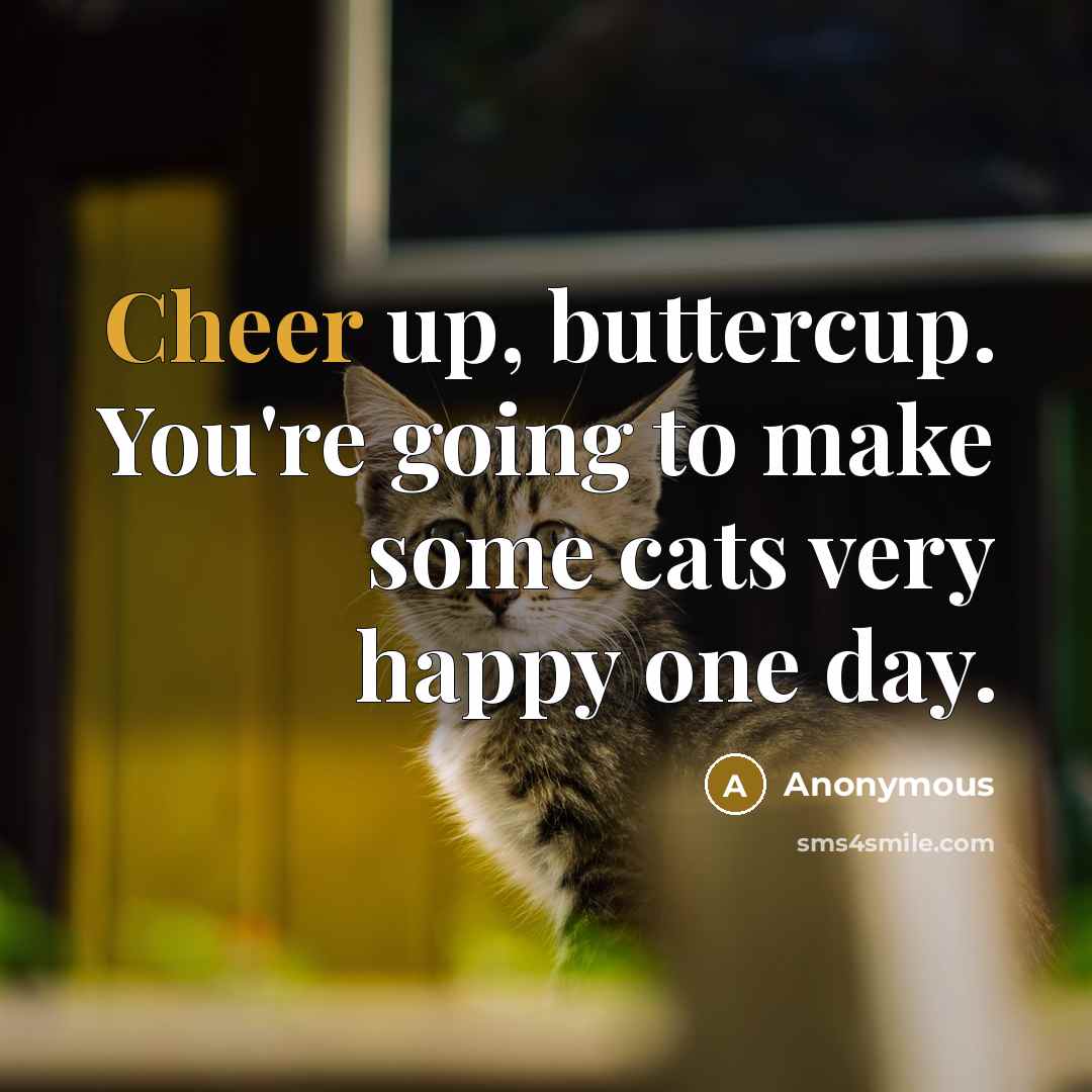 “Cheer up, buttercup. You're going to make some cats very happy one day.” quote by Anonymous