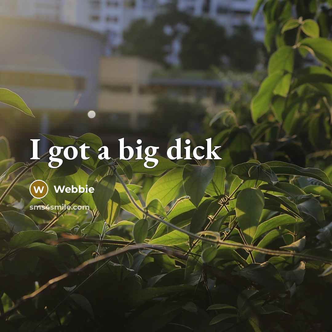 “I got a big dick” quote by Webbie