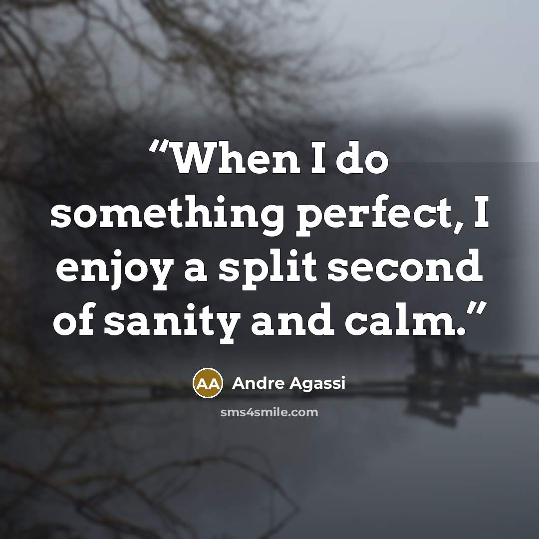 “When I do something perfect, I enjoy a split second of sanity and calm.” quote by Andre Agassi
