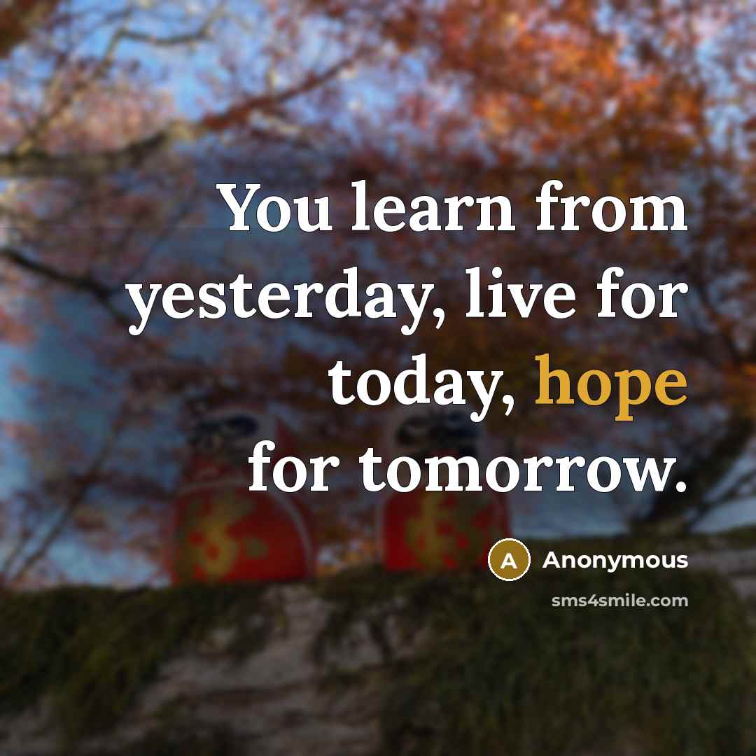 “You learn from yesterday, live for today, hope for tomorrow.” quote by Anonymous