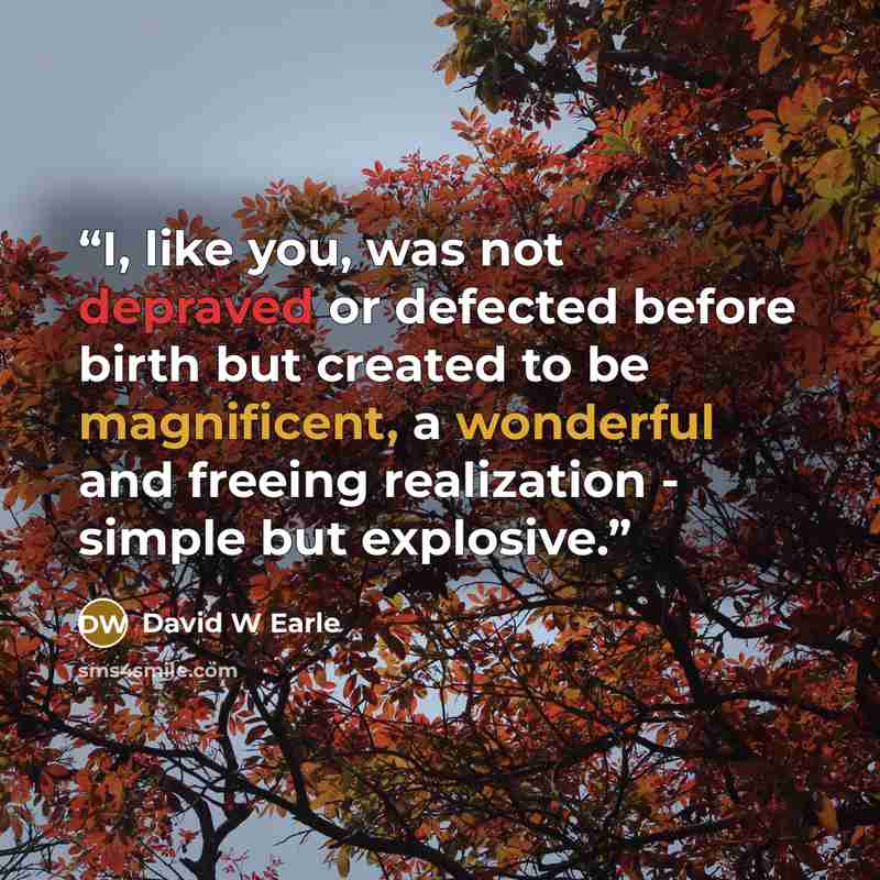 “I, like you, was not depraved or defected before birth but created to be magnificent, a wonderful and freeing realization - simple but explosive.” quote by David W Earle