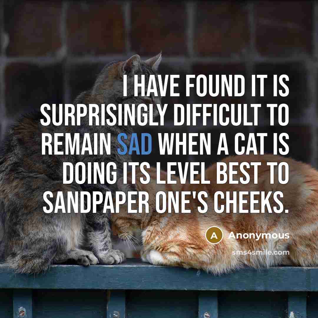 “I have found it is surprisingly difficult to remain sad when a cat is doing its level best to sandpaper one's cheeks.” quote by Anonymous