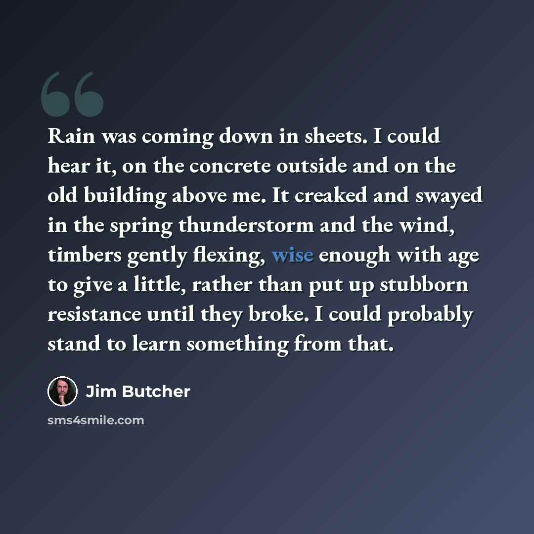 “Rain was coming down in sheets. I could hear it, on the concrete outside and on the old building above me. It creaked and swayed in the spring thunderstorm and the wind, timbers gently flexing, wise enough with age to give a little, rather than put up stubborn resistance until they broke. I could…” quote by Jim Butcher