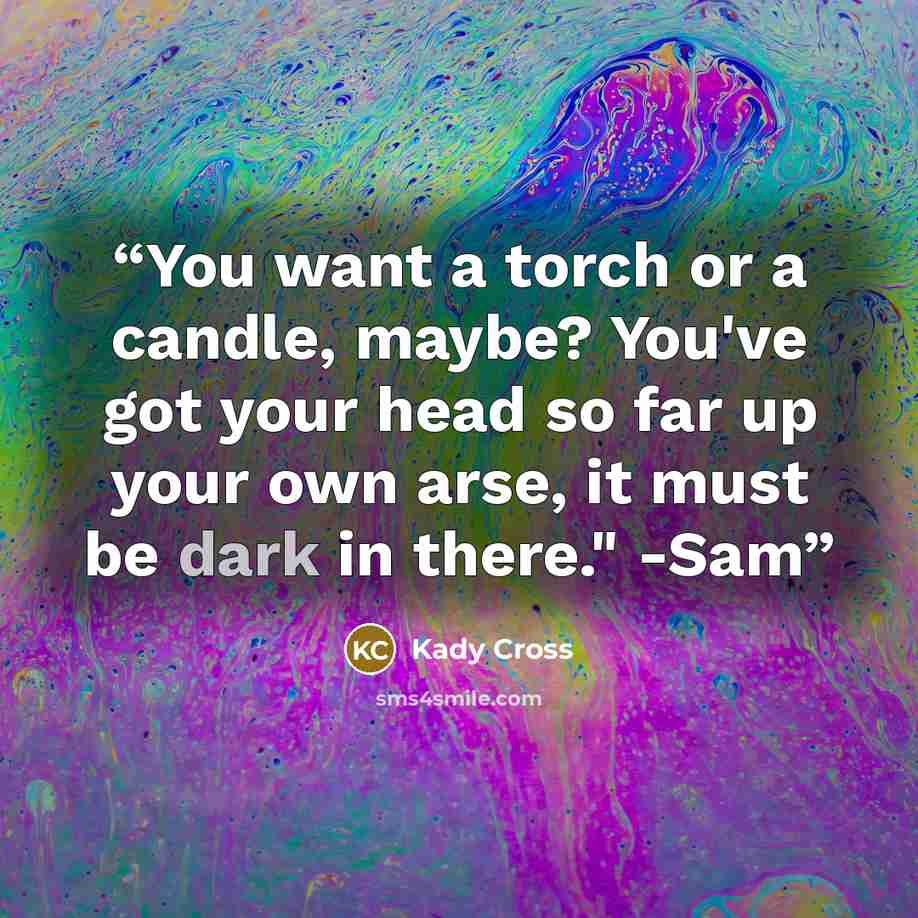 “You want a torch or a candle, maybe? You've got your head so far up your own arse, it must be dark in there." -Sam” quote by Kady Cross