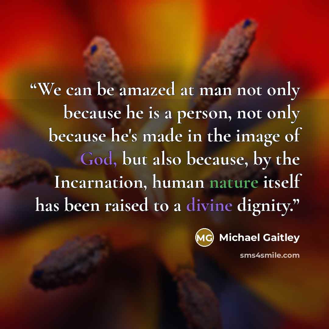 “We can be amazed at man not only because he is a person, not only because he's made in the image of God, but also because, by the Incarnation, human nature itself has been raised to a divine dignity.” quote by Michael Gaitley