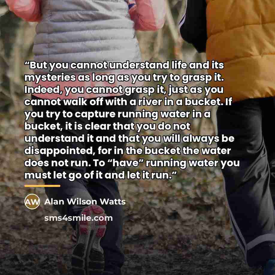 “But you cannot understand life and its mysteries as long as you try to grasp it. Indeed, you cannot grasp it, just as you cannot walk off with a river in a bucket. If you try to capture running water in a bucket, it is clear that you do not understand it and that you will always be disappointed…” quote by Alan Wilson Watts