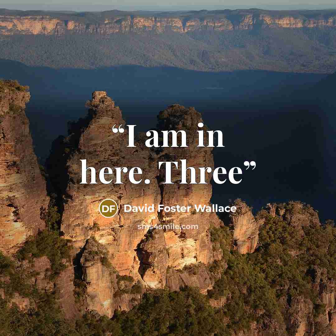 “I am in here. Three” quote by David Foster Wallace