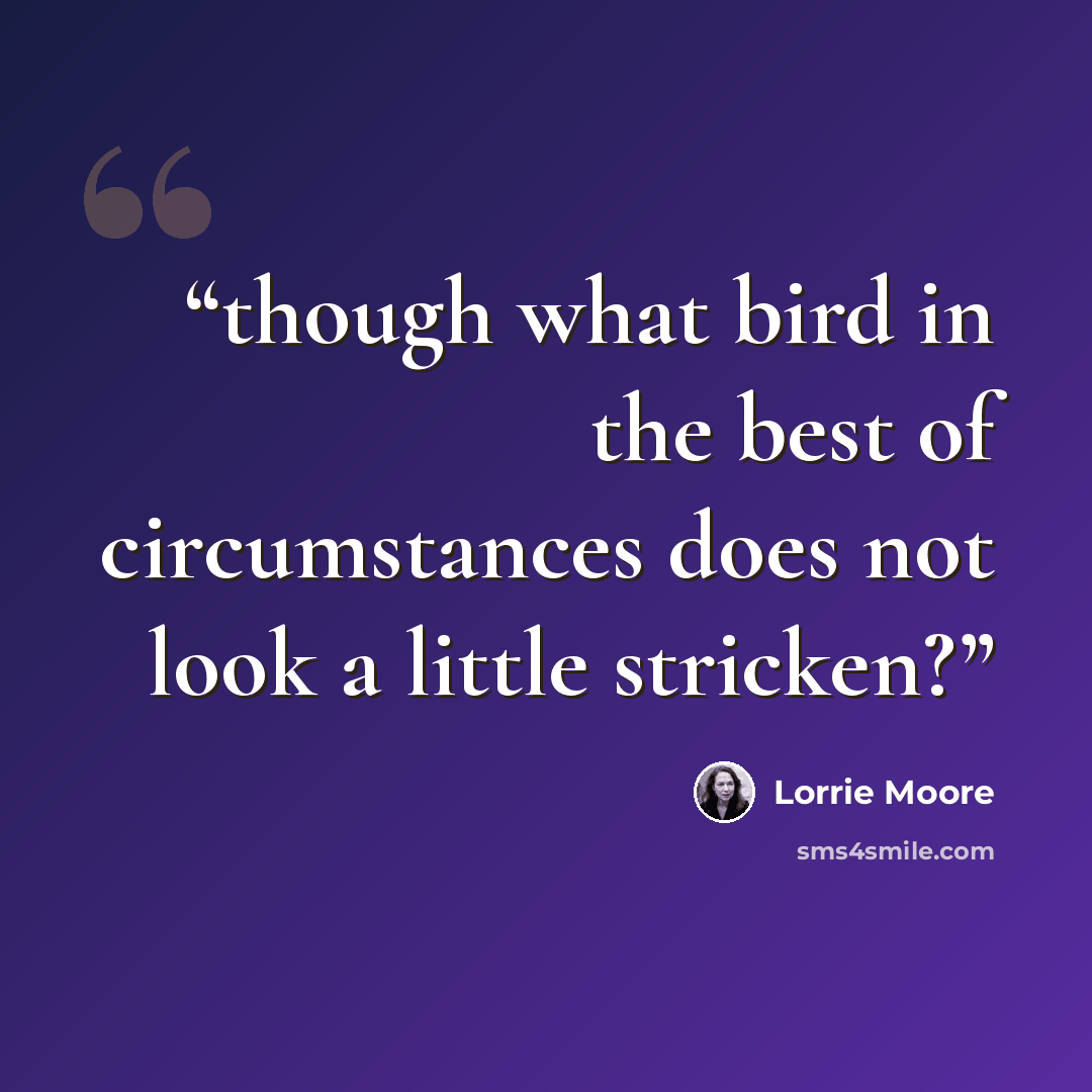 “though what bird in the best of circumstances does not look a little stricken?” quote by Lorrie Moore