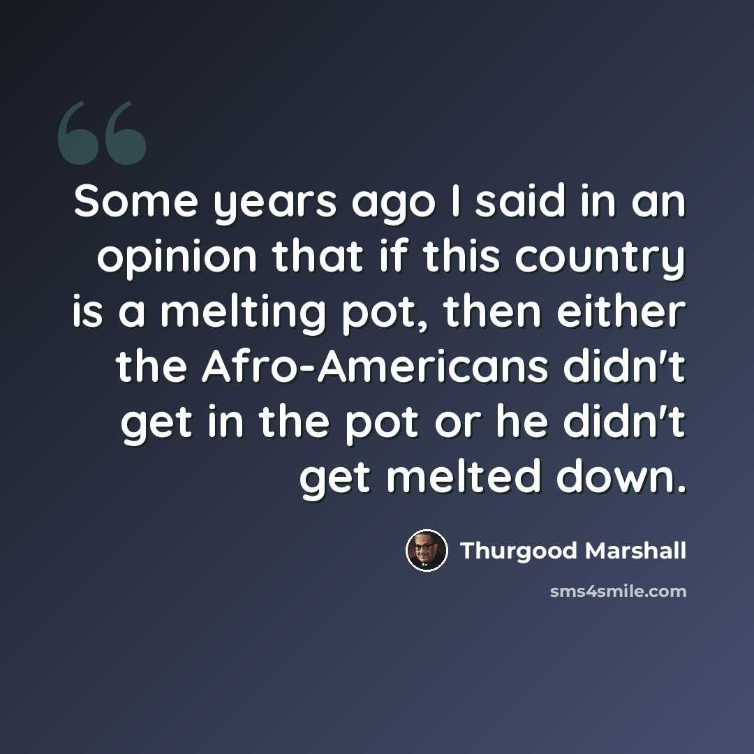 “Some years ago I said in an opinion that if this country is a melting pot, then either the Afro-Americans didn't get in the pot or he didn't get melted down.” quote by Thurgood Marshall
