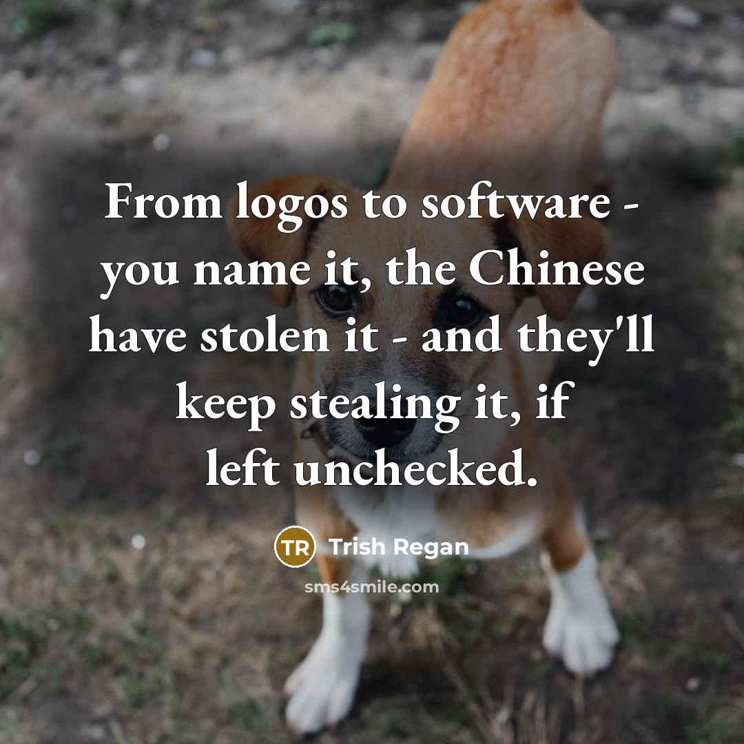 “From logos to software - you name it, the Chinese have stolen it - and they'll keep stealing it, if left unchecked.” quote by Trish Regan