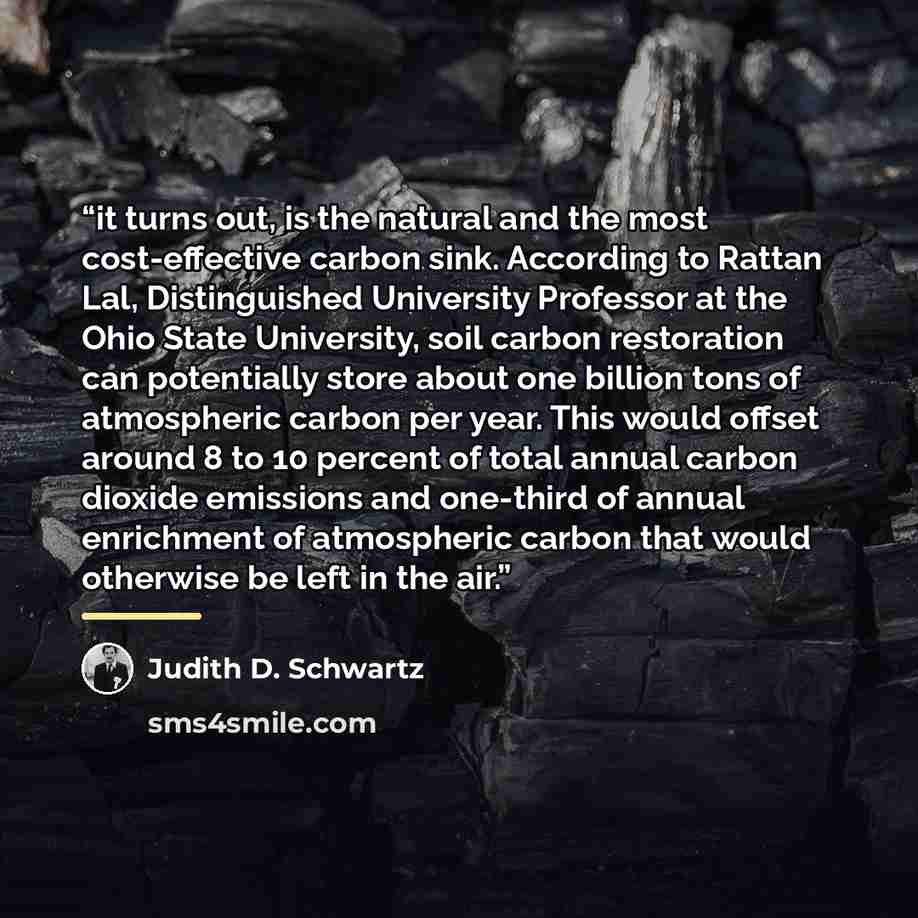 “it turns out, is the natural and the most cost-effective carbon sink. According to Rattan Lal, Distinguished University Professor at the Ohio State University, soil carbon restoration can potentially store about one billion tons of atmospheric carbon per year. This would offset around 8 to 10…” quote by Judith D. Schwartz