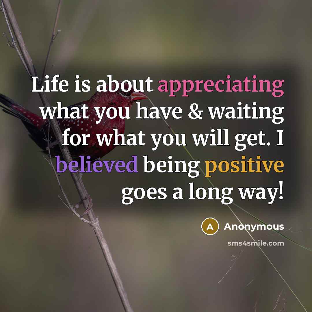 “Life is about appreciating what you have & waiting for what you will get. I believed being positive goes a long way!” quote by Anonymous