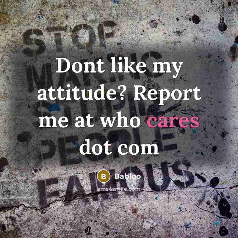 “Dont like my attitude? Report me at who cares dot com” quote by Babloo