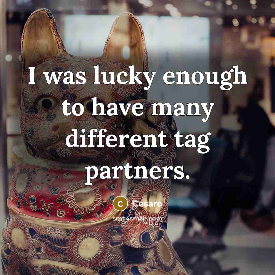 “I was lucky enough to have many different tag partners.” quote by Cesaro