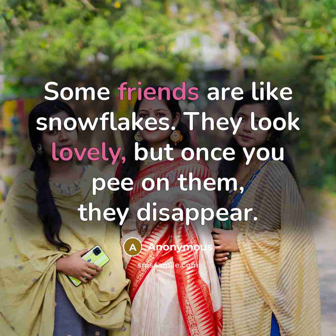 “Some friends are like snowflakes. They look lovely, but once you pee on them, they disappear.” quote by Anonymous