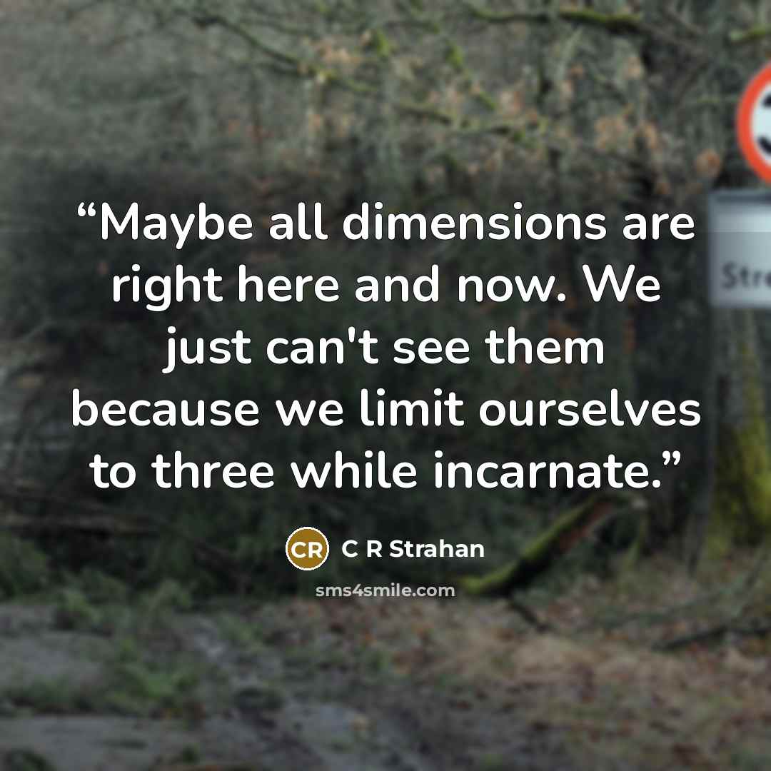 “Maybe all dimensions are right here and now. We just can't see them because we limit ourselves to three while incarnate.” quote by C R Strahan