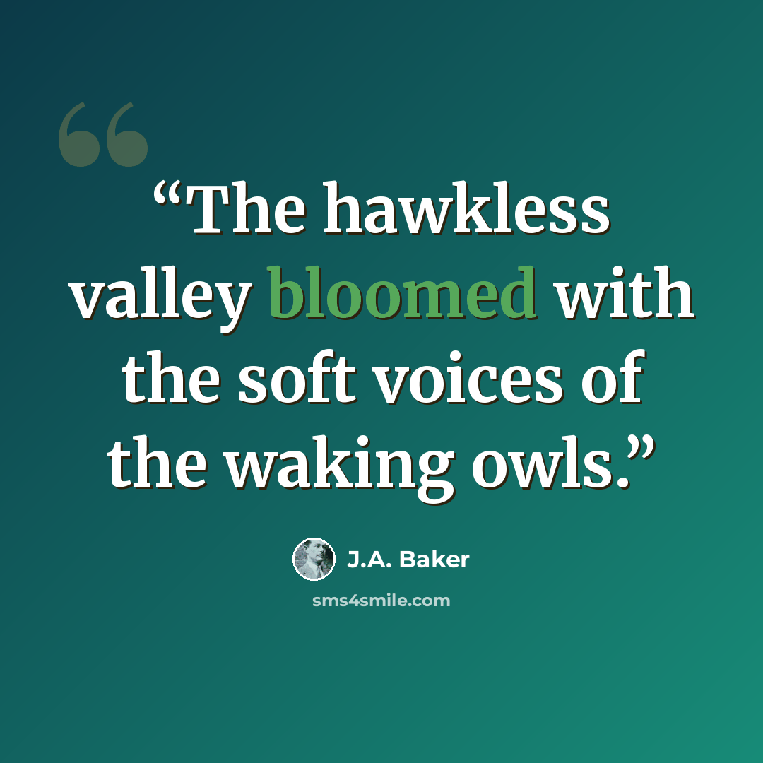 “The hawkless valley bloomed with the soft voices of the waking owls.” quote by J.A. Baker