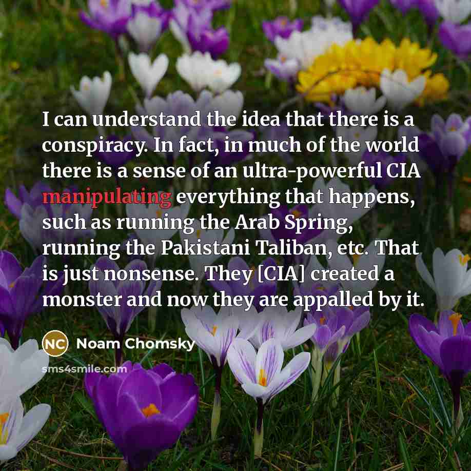 “I can understand the idea that there is a conspiracy. In fact, in much of the world there is a sense of an ultra-powerful CIA manipulating everything that happens, such as running the Arab Spring, running the Pakistani Taliban, etc. That is just nonsense. They [CIA] created a monster and now they…” quote by Noam Chomsky