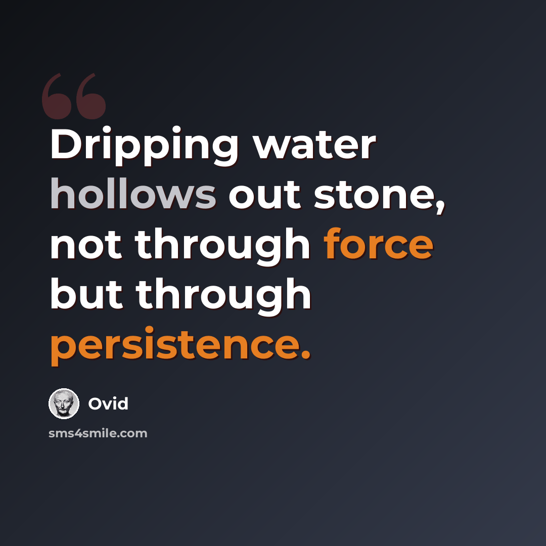 “Dripping water hollows out stone, not through force but through persistence.” quote by Ovid