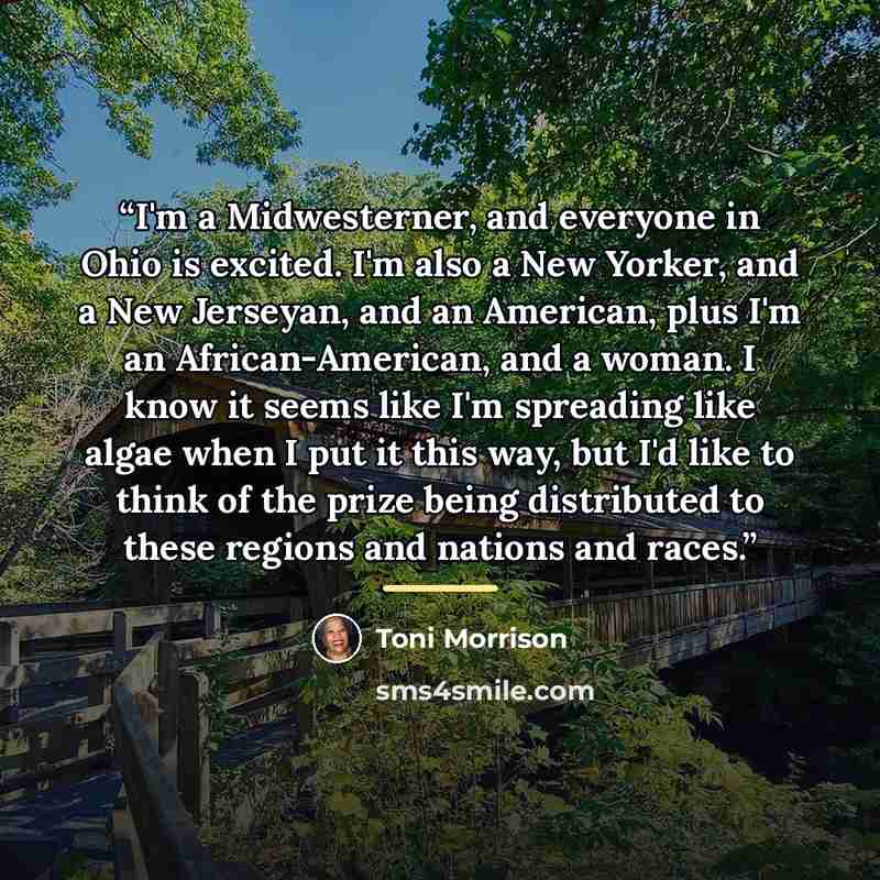 “I'm a Midwesterner, and everyone in Ohio is excited. I'm also a New Yorker, and a New Jerseyan, and an American, plus I'm an African-American, and a woman. I know it seems like I'm spreading like algae when I put it this way, but I'd like to think of the prize being distributed to these regions…” quote by Toni Morrison