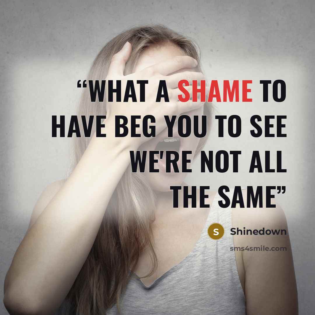 “What a shame to have beg you to see we're not all the same” quote by Shinedown