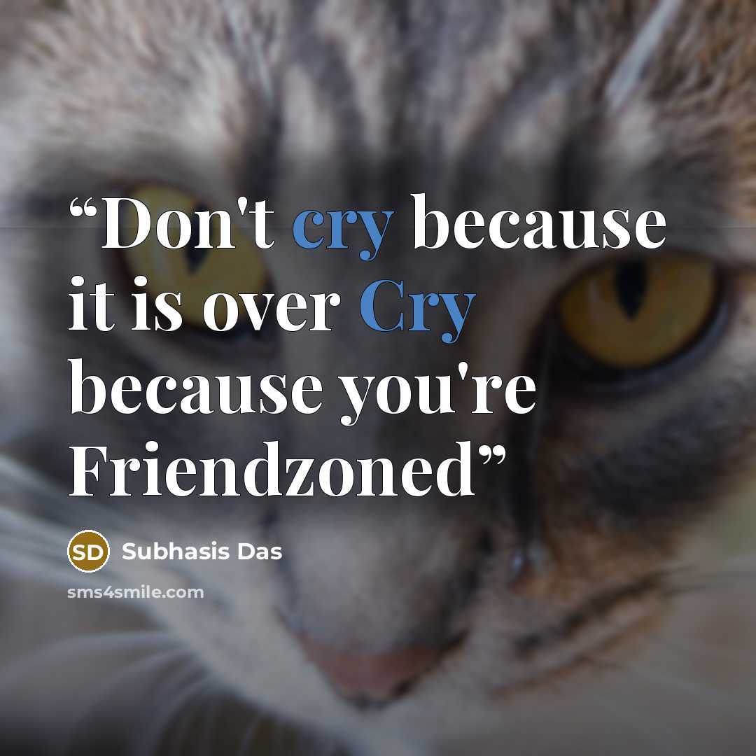 “Don't cry because it is over Cry because you're Friendzoned” quote by Subhasis Das