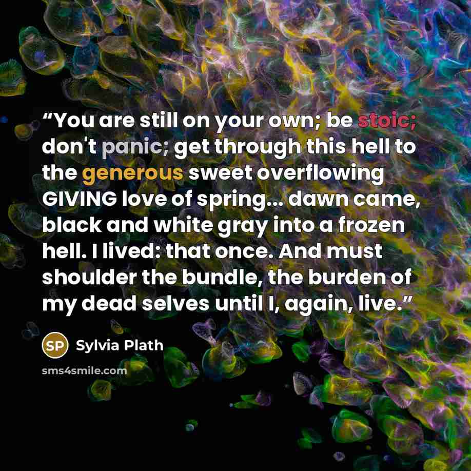 “You are still on your own; be stoic; don't panic; get through this hell to the generous sweet overflowing GIVING love of spring... dawn came, black and white gray into a frozen hell. I lived: that once. And must shoulder the bundle, the burden of my dead selves until I, again, live.” quote by Sylvia Plath