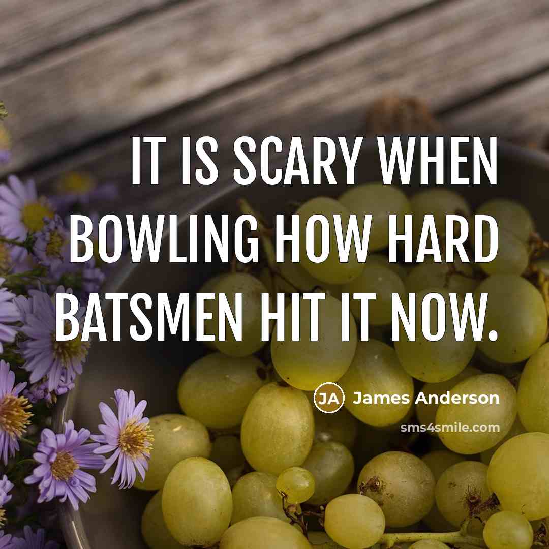 “It is scary when bowling how hard batsmen hit it now.” quote by James Anderson