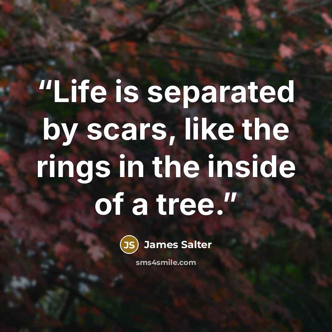 “Life is separated by scars, like the rings in the inside of a tree.” quote by James Salter
