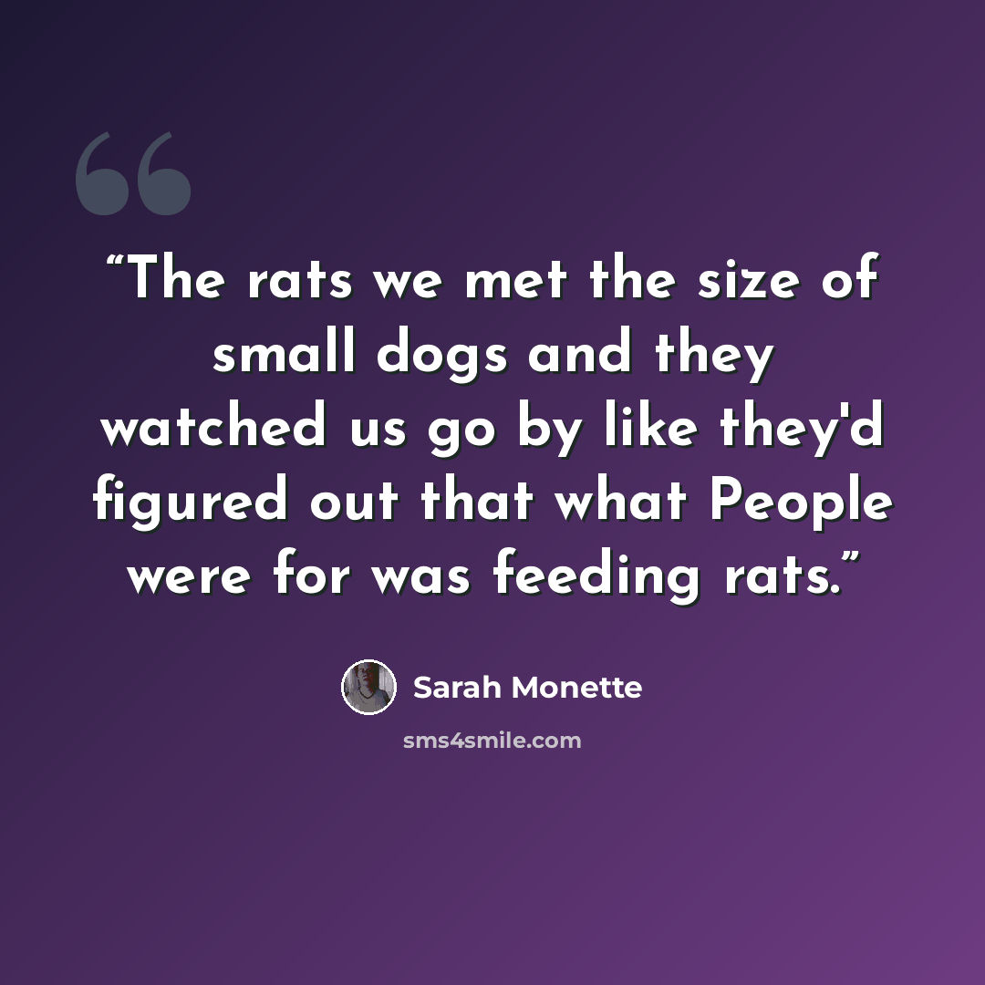 “The rats we met the size of small dogs and they watched us go by like they'd figured out that what People were for was feeding rats.” quote by Sarah Monette