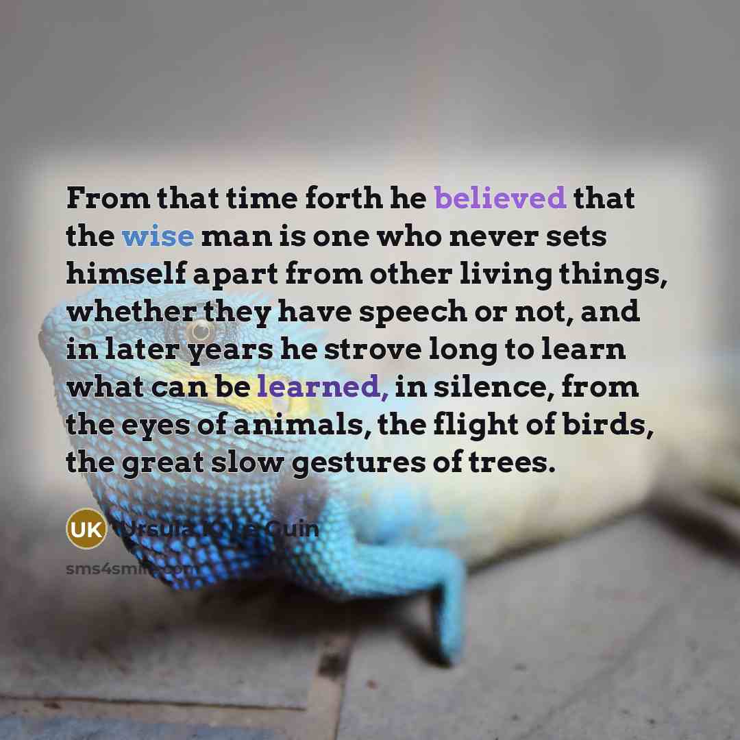 “From that time forth he believed that the wise man is one who never sets himself apart from other living things, whether they have speech or not, and in later years he strove long to learn what can be learned, in silence, from the eyes of animals, the flight of birds, the great slow gestures of…” quote by Ursula K. Le Guin