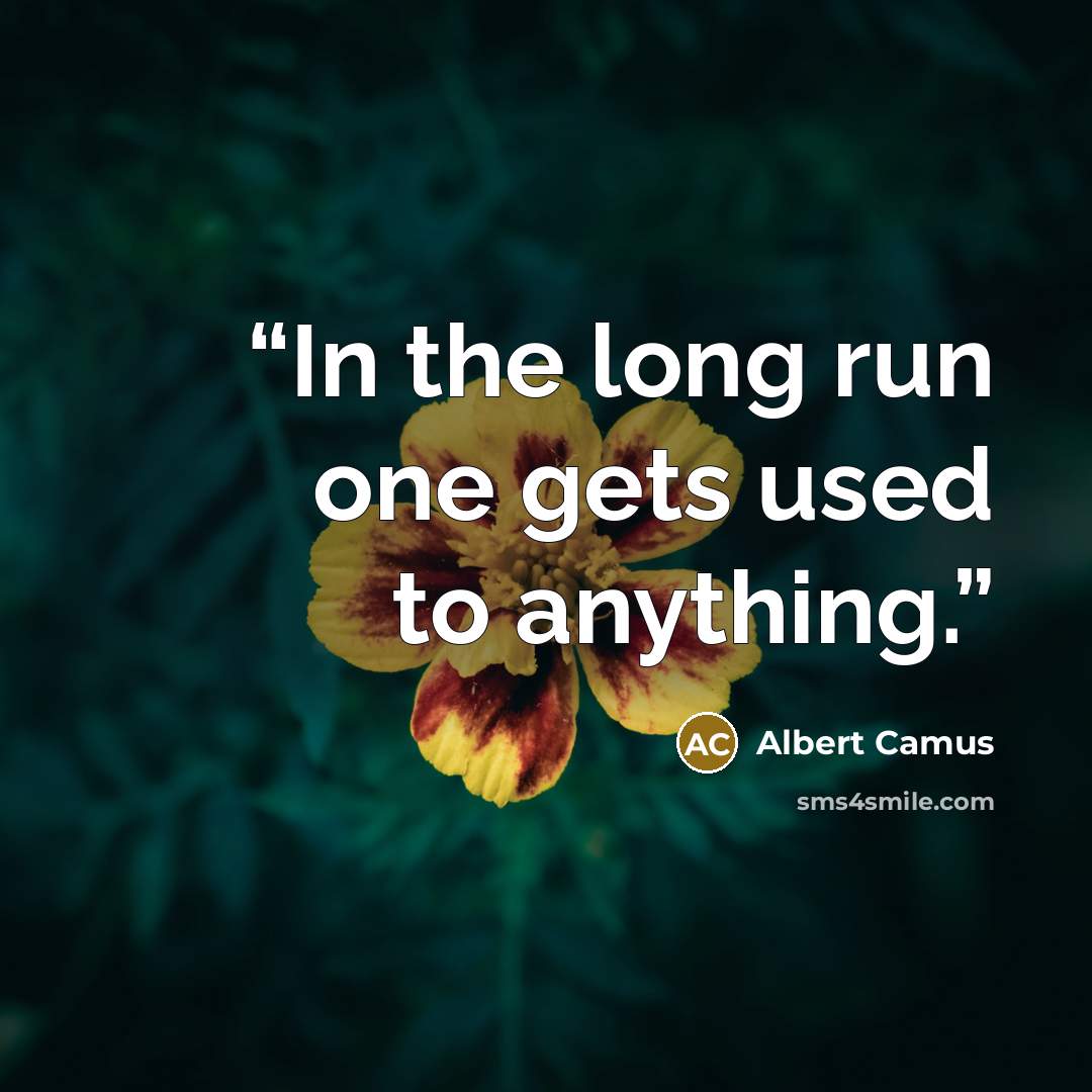 “In the long run one gets used to anything.” quote by Albert Camus