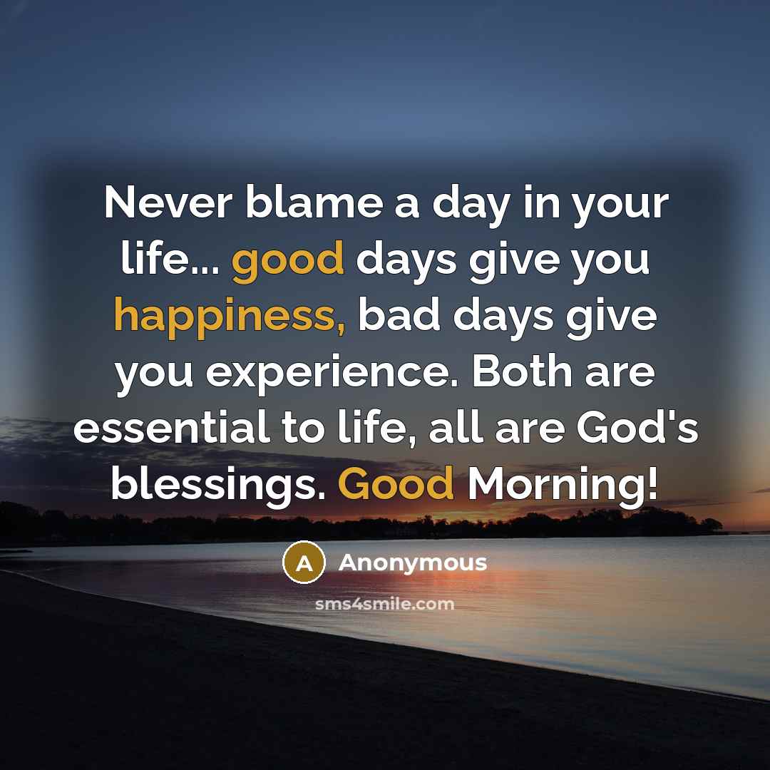 “Never blame a day in your life... good days give you happiness, bad days give you experience. Both are essential to life, all are God's blessings. Good Morning!” quote by Anonymous