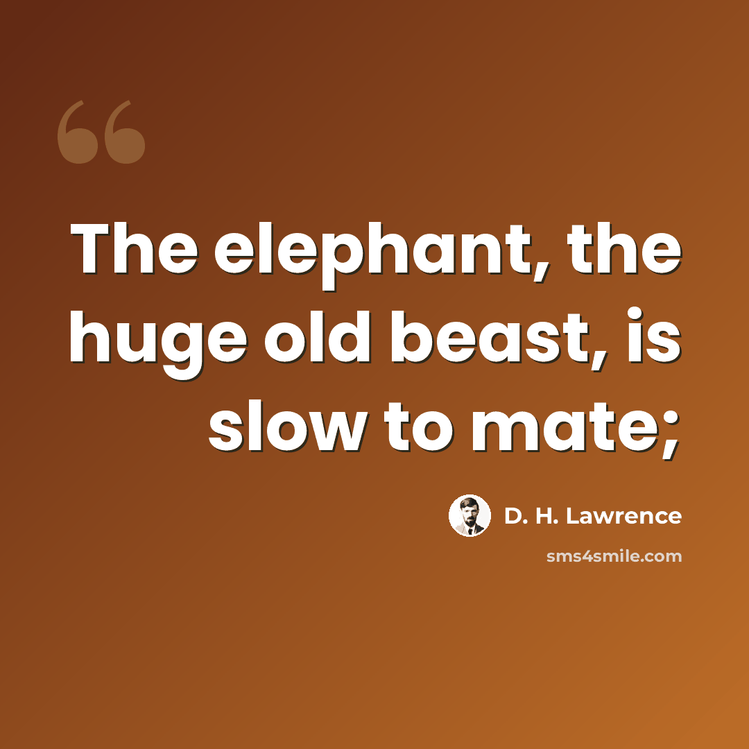 “The elephant, the huge old beast, is slow to mate;” quote by D. H. Lawrence
