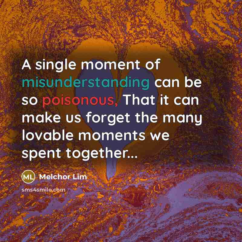 “A single moment of misunderstanding can be so poisonous, That it can make us forget the many lovable moments we spent together...” quote by Melchor Lim
