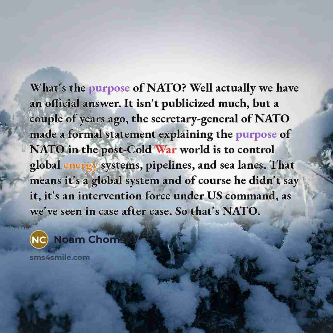 “What's the purpose of NATO? Well actually we have an official answer. It isn't publicized much, but a couple of years ago, the secretary-general of NATO made a formal statement explaining the purpose of NATO in the post-Cold War world is to control global energy systems, pipelines, and sea lanes…” quote by Noam Chomsky