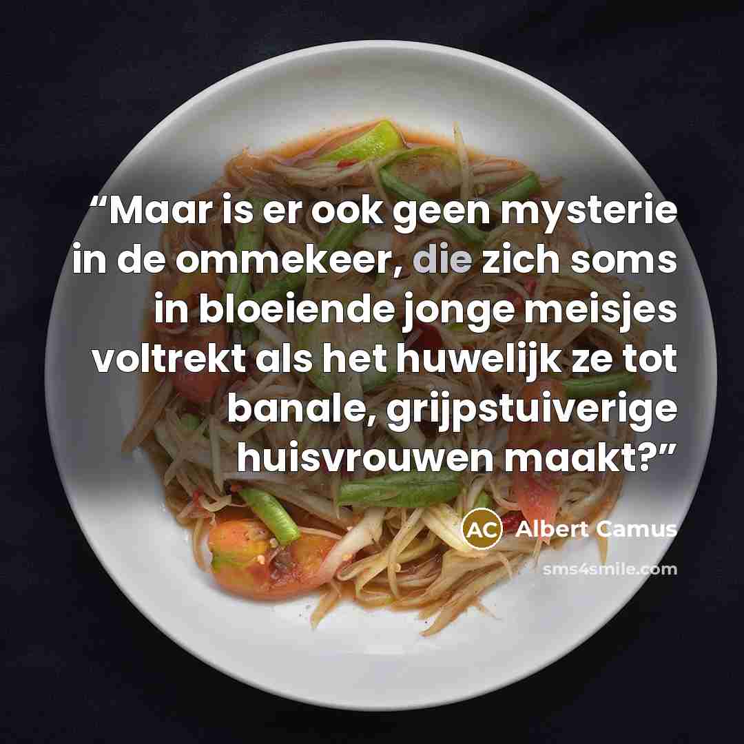 “Maar is er ook geen mysterie in de ommekeer, die zich soms in bloeiende jonge meisjes voltrekt als het huwelijk ze tot banale, grijpstuiverige huisvrouwen maakt?” quote by Albert Camus