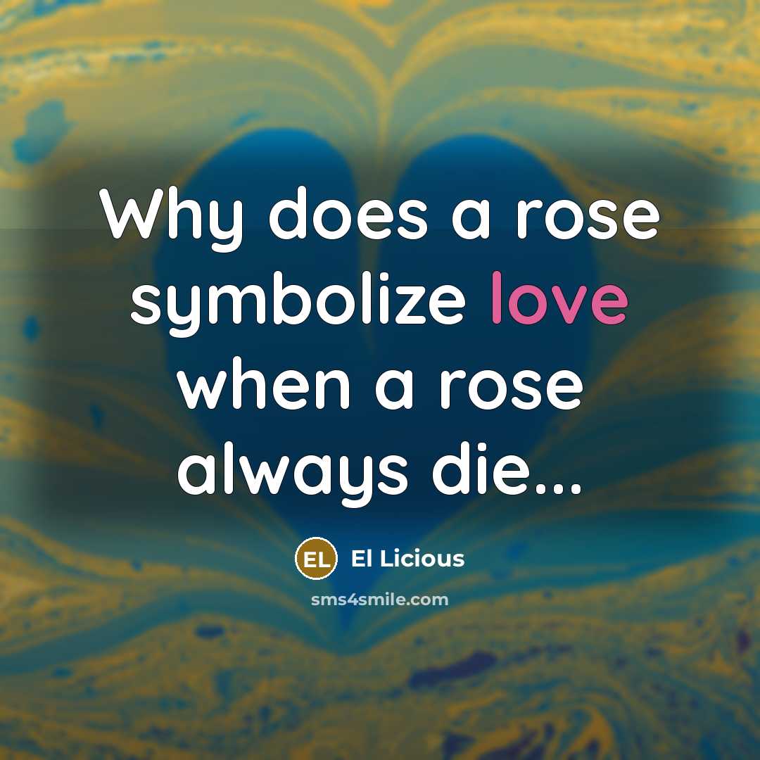 “Why does a rose symbolize love when a rose always die...” quote by El Licious