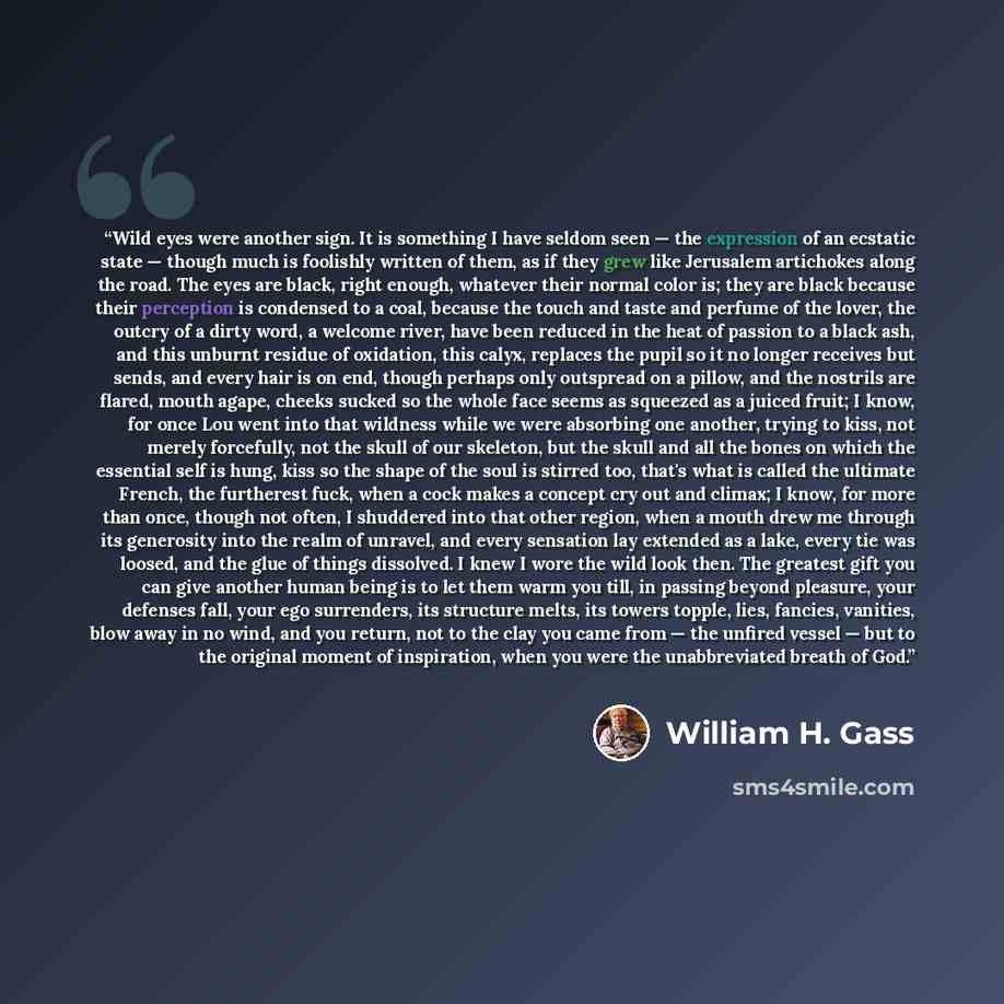“Wild eyes were another sign. It is something I have seldom seen — the expression of an ecstatic state — though much is foolishly written of them, as if they grew like Jerusalem artichokes along the road. The eyes are black, right enough, whatever their normal color is; they are black because their…” quote by William H. Gass